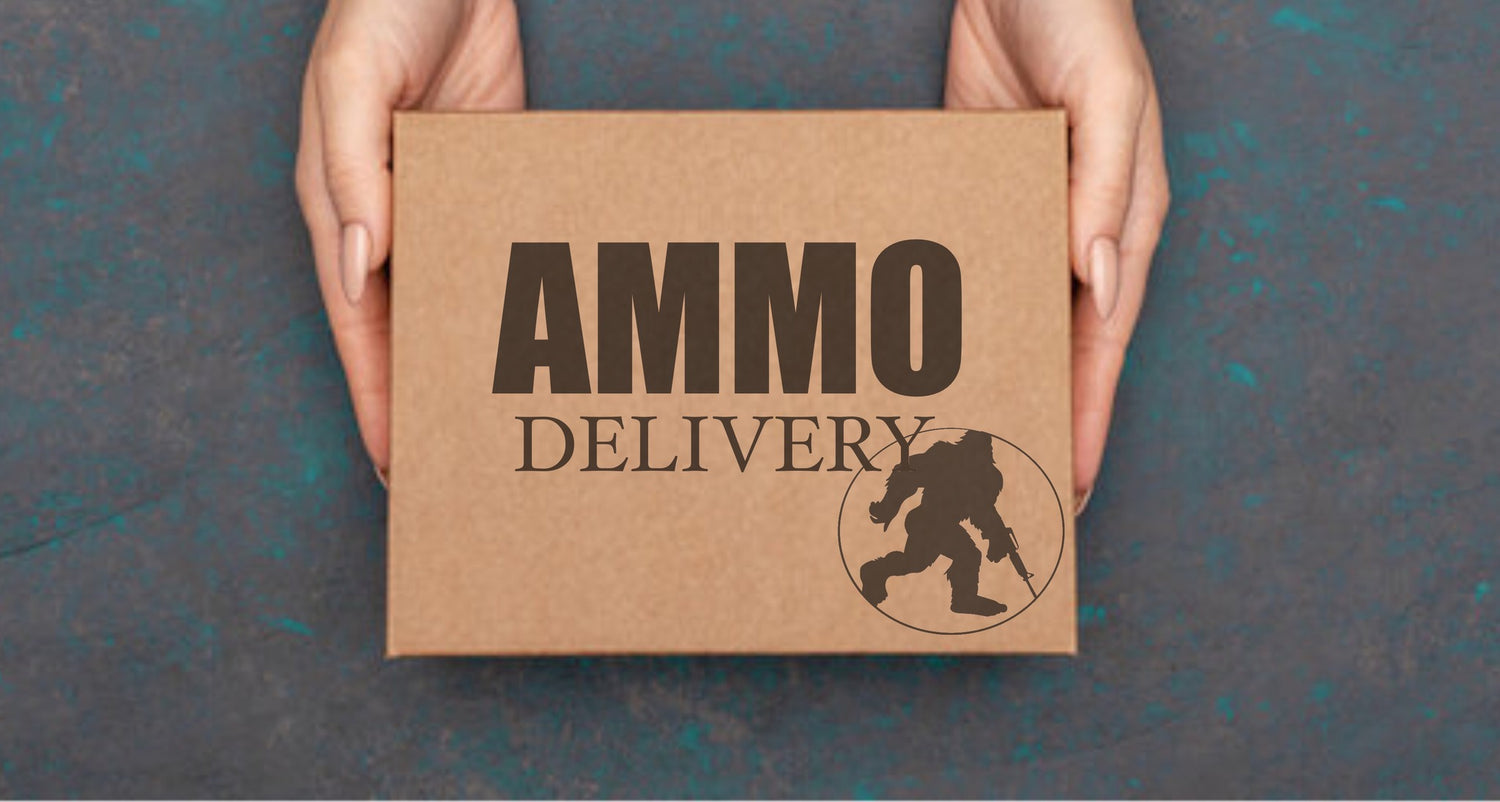 ammo delivery subscription