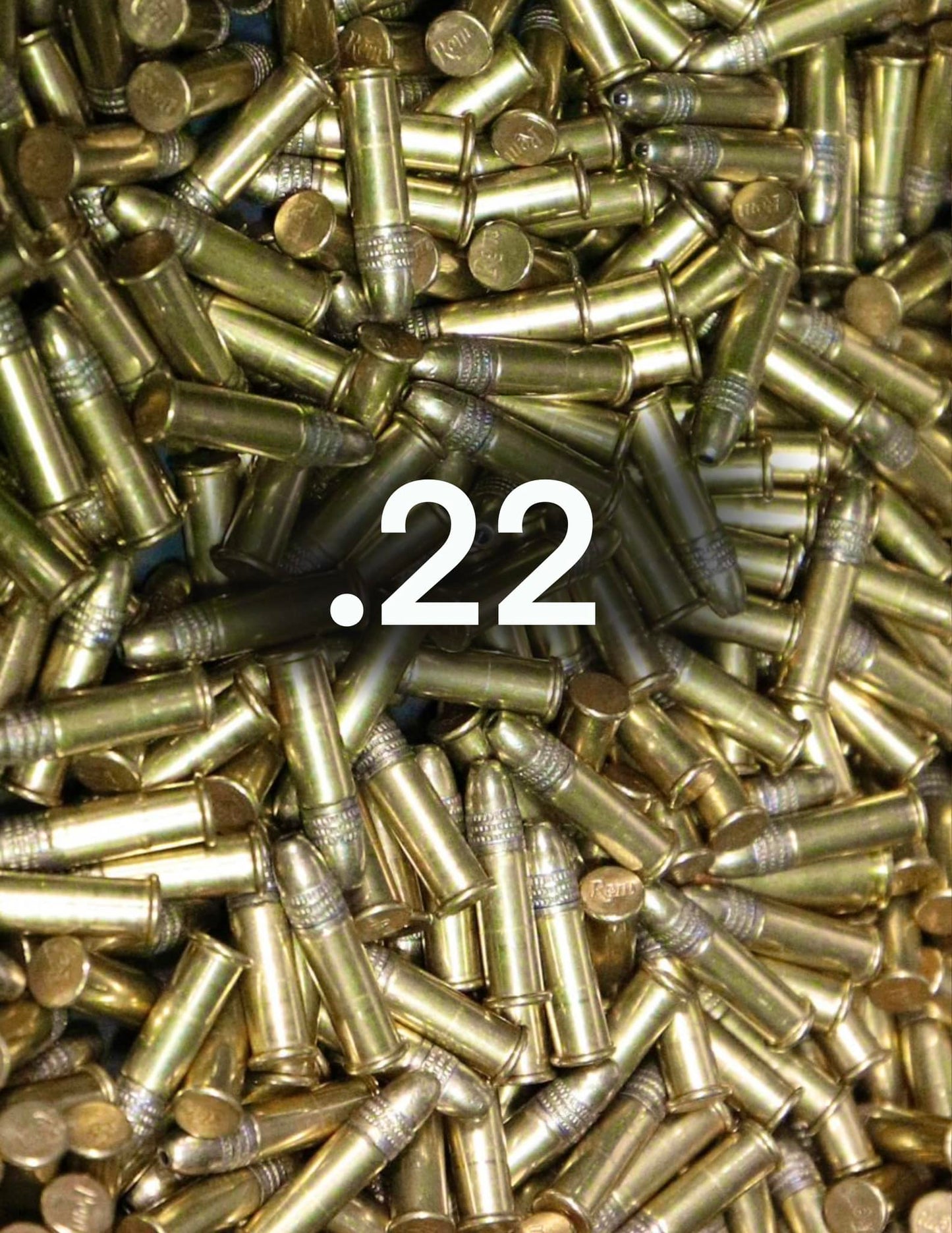 .22 LR