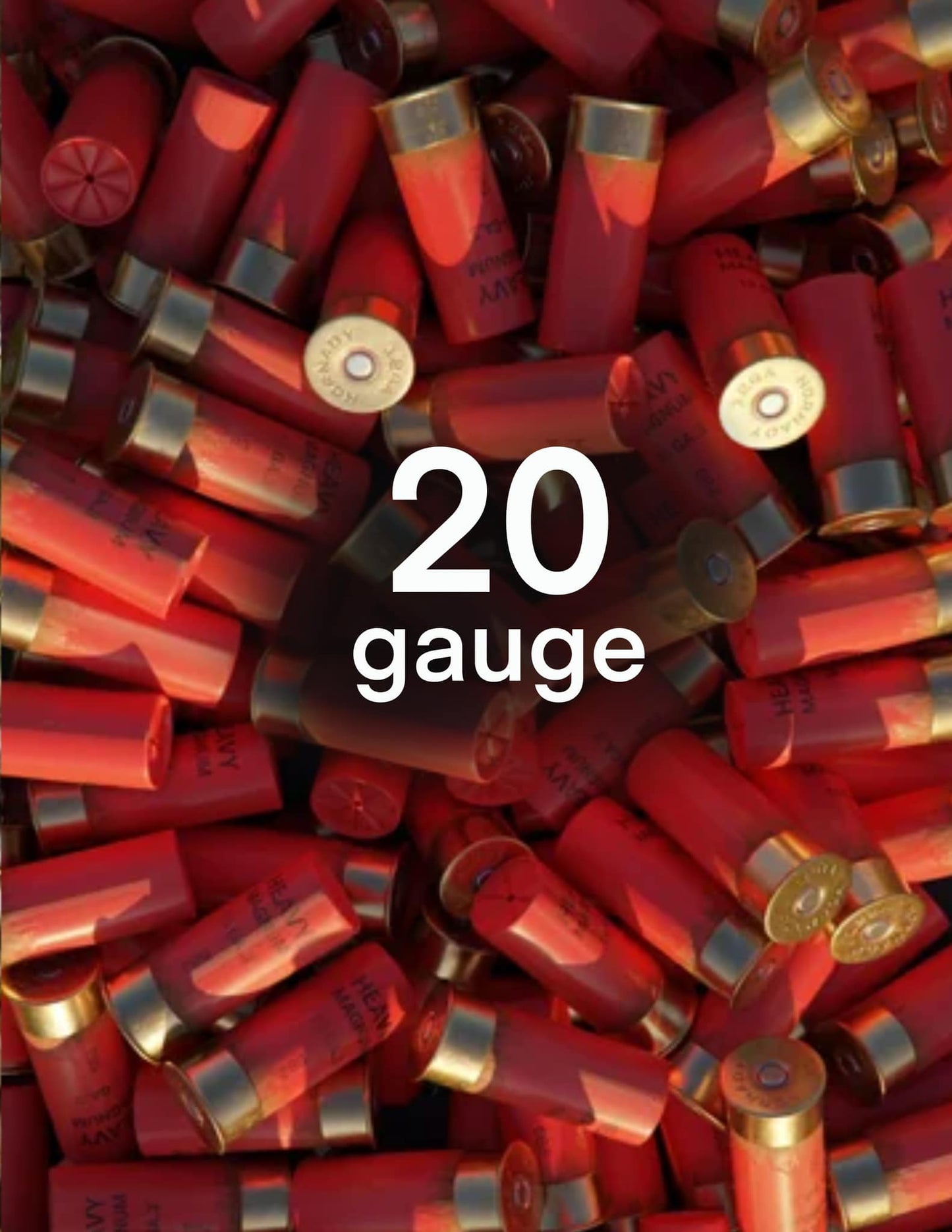 20 Gauge